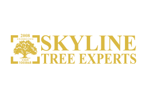 skyline logo